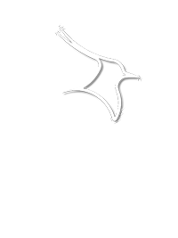 Lapwing Records